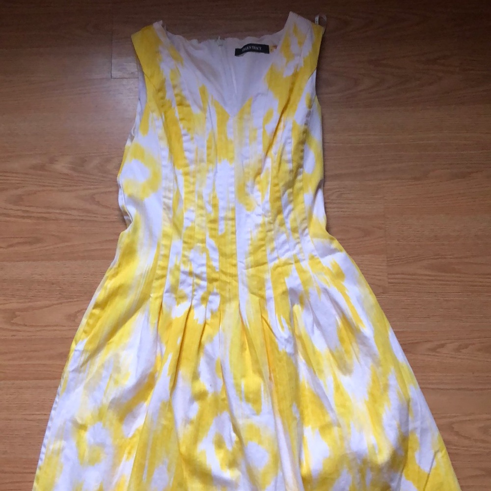 Ellen Tracy Dress